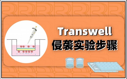 细胞功能实验合集（1）：Transwell侵袭实验 上篇 实验步骤详解