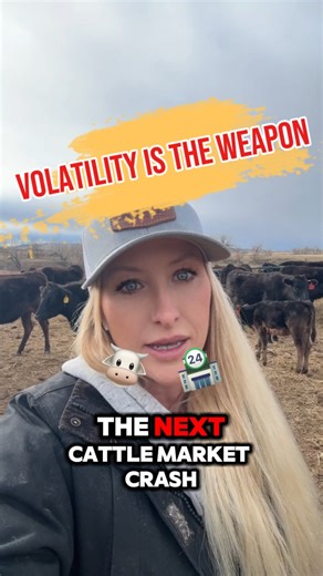 The Hufeisen-Ranch | Regenerative Wagyu Beef | Farm to Table on Instagram: "High cattle prices aren’t a victory — they’re a warning. America went from roughly 6 million ranches to about 700,000. Not because producers forgot how to ranch, but because volatility and consolidation wipe out anyone without protection. This system rewards those who can hedge, vertically integrate, and survive downturns — and destroys independent producers who can’t. The next market correction won’t “reset” things. It