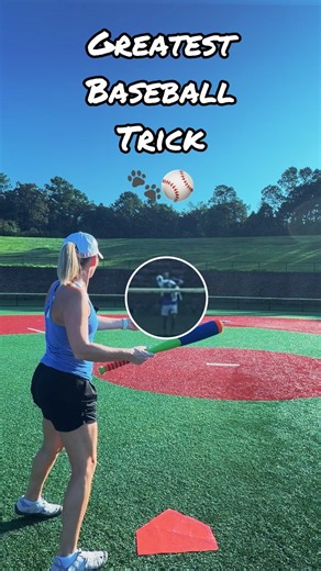 Dog attempts the wackiest baseball trick for a treat! #baseball #dog