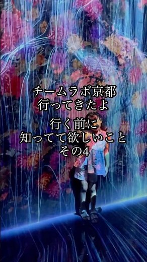 チームラボ 京都④ ✨ TeamLab Kyoto biovortex
