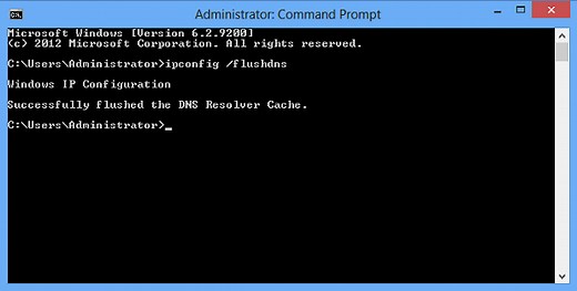 How to Clear, Reset or Flush DNS Cache in Windows 11