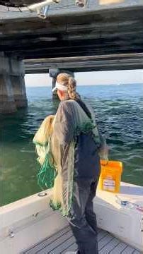 Triple Load Cast Net 🔥 Loading Up & Catching Live Bait Like a Pro