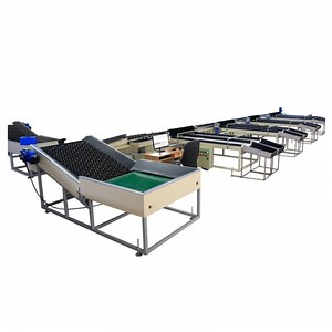 [Hot Item] Professional Multifunctional Apple Peach Pear Grading Sorting Machine According to Weight