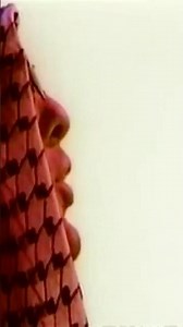 N4 / Mr.Credo - HSH Bola