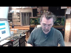 Rockwood 555-605 Lever Extension Flush Bolt - Polished Clear Coated Brass