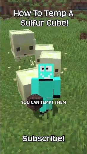 How To Temp A Sulfur Cube In Minecraft?!