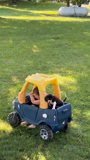 He set out to go rabbit hunting #goodvibes #rabbithunting | Catron's Kennel