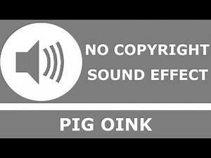 Pig Oink | No Copyright Sound Effect