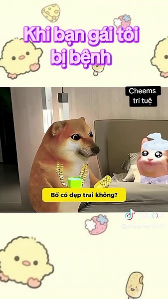 Lạy 1 cái được 100k - Cheems Trí Tuệ