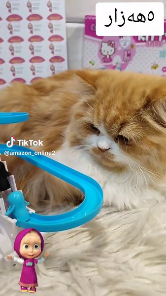 ‏#گەیاندنمان_هەیە_بۆ_هەموو_کوردستان🚕 #fyp #اكسبلور #toyota