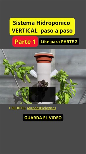 Sistema Vertical Hidropónico: Guía Paso a Paso