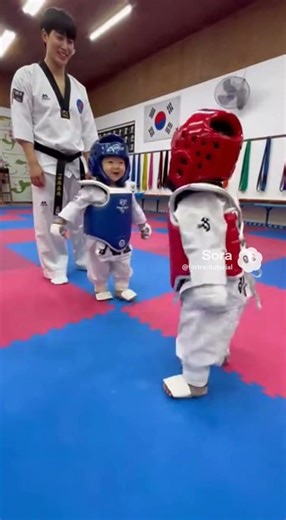 태권도 시합 #sora2
