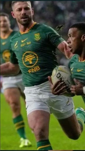 Springboks Run Riot Against Italy with Seven-Try Masterclass Despite Wiese Red Card