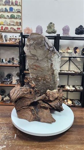 樂淘石間 on Instagram: "◇ ​​層疊大地之魂｜亮面紅泥茶骨幹 ◇ ​▪️介紹｜ ​這是一座跨越億萬年時光洗禮的大地藝術。 來自馬達加斯加的巨型亮面紅泥骨幹水晶，重達 13公斤多，高 41 公分的傲人身姿，光是擺放著就能感受到厚實而穩定的強大氣場。 這塊骨幹水晶最迷人之處，在於其表面佈滿了極為發達且清晰的骨幹生長紋路， 層層疊疊的階梯式結構，如同大地的年輪，細訴著晶體在深層地底受壓生長的古老故事。 晶體表面帶有天然的亮面質地，反射著深邃的光澤，內裡的紅泥內含物像霧氣般擴散，呈現出一種溫暖而原始的力量。 ​在靈性層面上，其特殊的骨幹結構能協助平穩心神、深層紮根，對於需要安定情緒或提升空間能量穩定度的人來說，是極佳的守護石。 這類巨型礦物特別適合放置於玄關、客廳或工作場所，作為空間的「能量基石」，幫助過濾繁雜的負能量，建立一個和諧且具保護性的場域。 也特別為這件重器配備了自然風化的木座，木材的滄桑美感與骨幹水晶的硬朗質地完美交融，呈現出枯木守望山石的寧靜意境。 萬克以上的完整骨幹在市場上極為罕見，這件作品以極具誠意的親民價格回饋給玩礦老手，是兼具空間裝飾、能量調節與收藏價值的