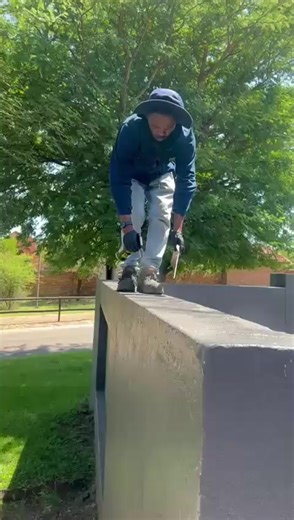 Effective Snake Repellent Solutions