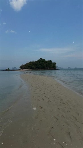 Often, we just bite into our cravings, or grudges, and let the hook take us. We get caught and attached to these situations that are not worthy of our concern. If mindfulness and concerntration are there, then insight will be there And we can make use of it to swim away, free. 如何有智慧地让自己快乐！ 我们每一个人都有慧眼 能够识别 如何让自己快乐！ 常常我们会被 欲望，怨念 焦虑，恐惧感 牵绊 时刻温柔的提醒自己 这些情绪不是快乐的营养 我们要像鱼那般 把垃圾情绪当鱼饵 使有温柔的专注力 别上钩！ 我们或许曾经经历过 一些难忘不愉快的事 回想当时的不愉快，痛苦， 别让那情绪继续牵引着我们。 虽然是痛苦，不愉快， 可以借鉴并提醒和鼓励自己 当下的我，是幸运的， 我已不在那时， 我脱离了， 我可以快乐的！ 这是我们