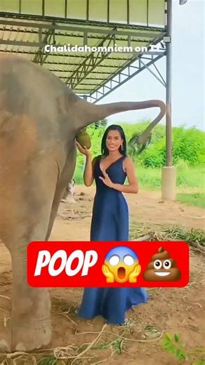 THEY'RE COLLECTING POOP! 😱💩