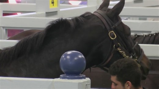 Oaklawn prepares for opening weekend