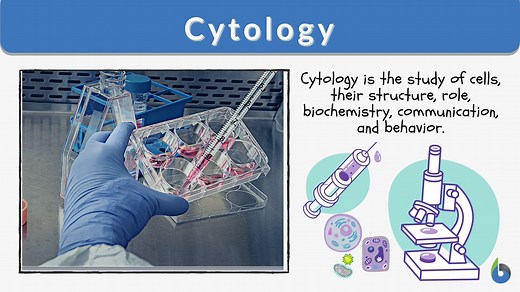 Cytology Definition and Examples - Biology Online Dictionary
