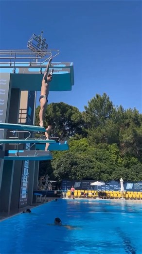 How to Dive Like an Olympian Springboard Secrets Revealed
