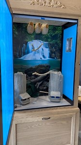 Watch us install decor and accessories in a Majestic® Aviary! We have a collection of bird accessories so you can provide all the enrichment they need! Custom Cages is your one-stop shop for bird perches, whicker nests, colorful toys, water dishes, and bird feeders! Get your birds some new gadgets today 👇 https://www.customcages.com/bird-accessories.html #birds #pets #enclosure #aviary #madeinwisconsin #adamsspecialtyproducts #customcages | Custom Cages