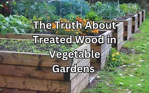 The Truth About Composting in Plastic: Pros and Cons - Simplify Gardening