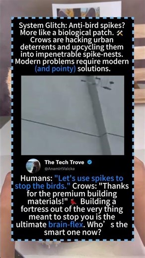 Humans: "Let's use spikes tostop the birds." Crows: "Thanksfor the premium buildingmaterials!