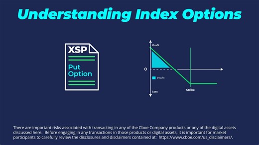 Ever wondered how put #options work? They give you the right to sell a set amount of an underlying asset at a predetermined price within a set period of time — giving you more flexibility in your #trading strategies. Discover more about Cboe Index Options: https://bit.ly/4ghrBY3 | Cboe Global Markets