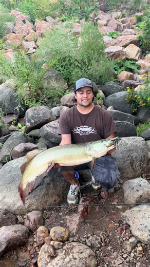 Exciting Musky Fishing Adventures in Wisconsin