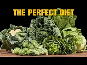 ✔What do green iguanas eat? 🦎Tips and food list 🌿