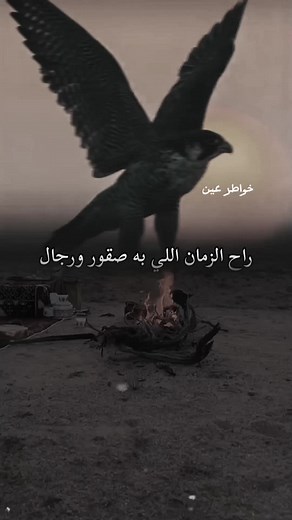 شعر من زمن الصقور والرجال