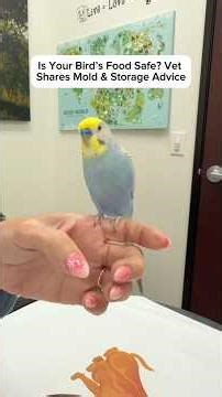 How food can become dangerous for your bird.