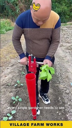 This Planting Tool Just Unlocked Easy Mode 🌱 Drop Seedlings Without Bending #Gardening