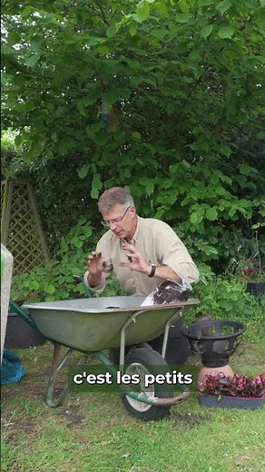 Des mésanges et leurs oisillons