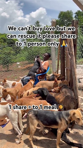 Pov you’re so kind to stay for 10seconds and press all the buttons to donate for a meal 🥘🍱🍱🙏🙏