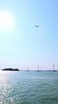전곡항, 바다 위를 달리는 오후.The Sea in Motion.HDR(26년4월).AVATA2