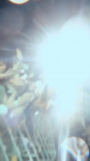 34K views · 7.5K reactions | Play it again, Iggy. @lokersefeesten on repeat. | Iggy Pop | Facebook