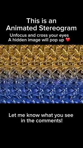Amazing Animated Stereogram Illusion