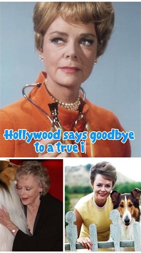 June Lockhart (1925–2025) — Hollywood Lost a Golden Era Icon 💔