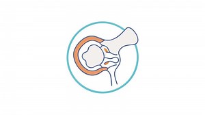 Shoulder joint anatomy in a circular frame graphic illustration