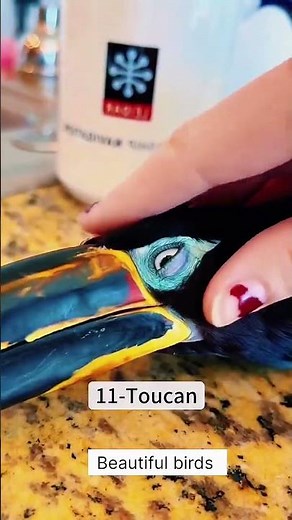 Different birds sounds #birds #differentbirds #beautifulbirds#virelvideo