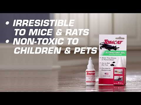 How to Bait Mice & Rats Using Tomcat® Attractant Gel