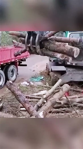 Log Grapple | Timber Handling Site