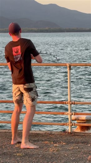 Catching a Solid Tiger Shark on Light Gear