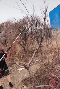 15 great labour supporting tools which are wow | K-12 Book Files