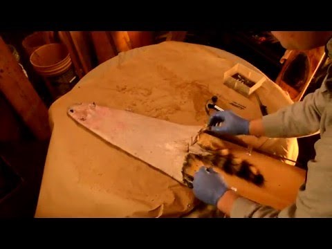 Fur Handling - Stretching a Raccoon Hide