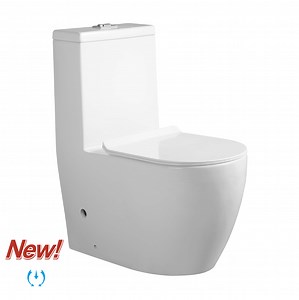 [Hot Item] Dual Flush Wash Down Floor Mounted Water Closet One Piece Toilet