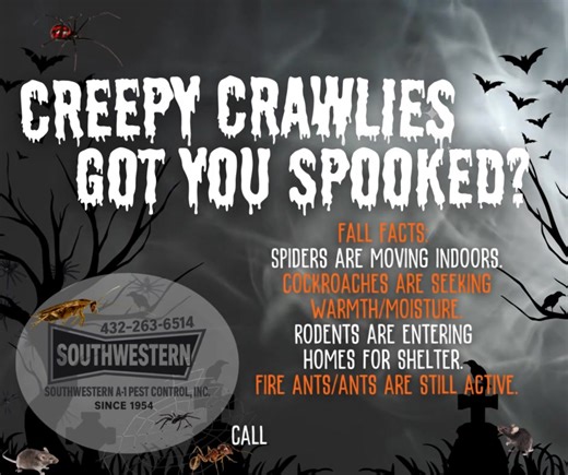 Creepy Crawlies Got You Spooked? Spiders in the corners… Roaches under the sink… Mice scratching in the attic? It’s not just Halloween decorations — the real pests are moving in as the weather cools. At Southwestern A‑1 Pest Control, we’ll kick out the creepy crawlies and keep your home pest-free all season long. ✅ Spider & web removal ✅ Cockroach control ✅ Rodent exclusion ✅ Fire ant & ant treatment ✅ Licensed, trusted & local since 1954 Southwestern A-1 Pest Control Licensed & insured applicat