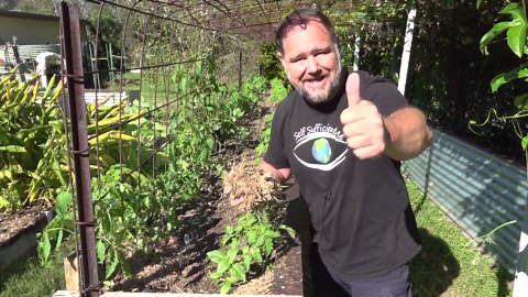 What Happens When You Use Mulch in the Garden?