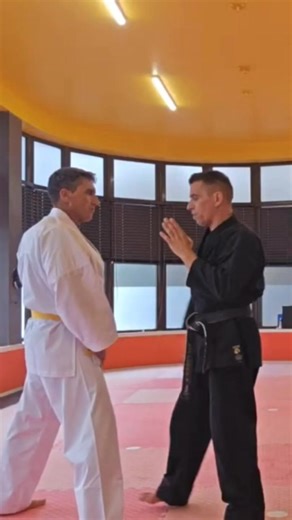 🔥 Mae Empi não é para mandar no ar! Se não tens ligação ao adversário e falhas o alvo, vais desequilibrar-te e entregar-te de bandeja. 👉 Cotovelada frontal é curta, precisa e feita de perto, com contacto garantido. Treinar no vazio sem perceber isto é brincar à luta… #karatejutsu #iakj #iakjportugal #karateeficaz #defesapessoal #cotovelada #empi | Frederico Hilário - Karate